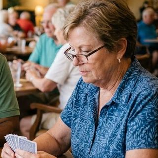 Cribbage activity art