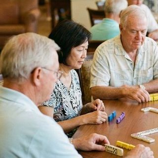 Mexican Train activity art