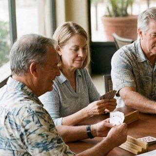 Pinochle activity art