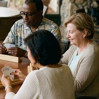 Pinochle activity art